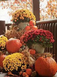  Cicconi Farms Fall Plant Rundraiser 